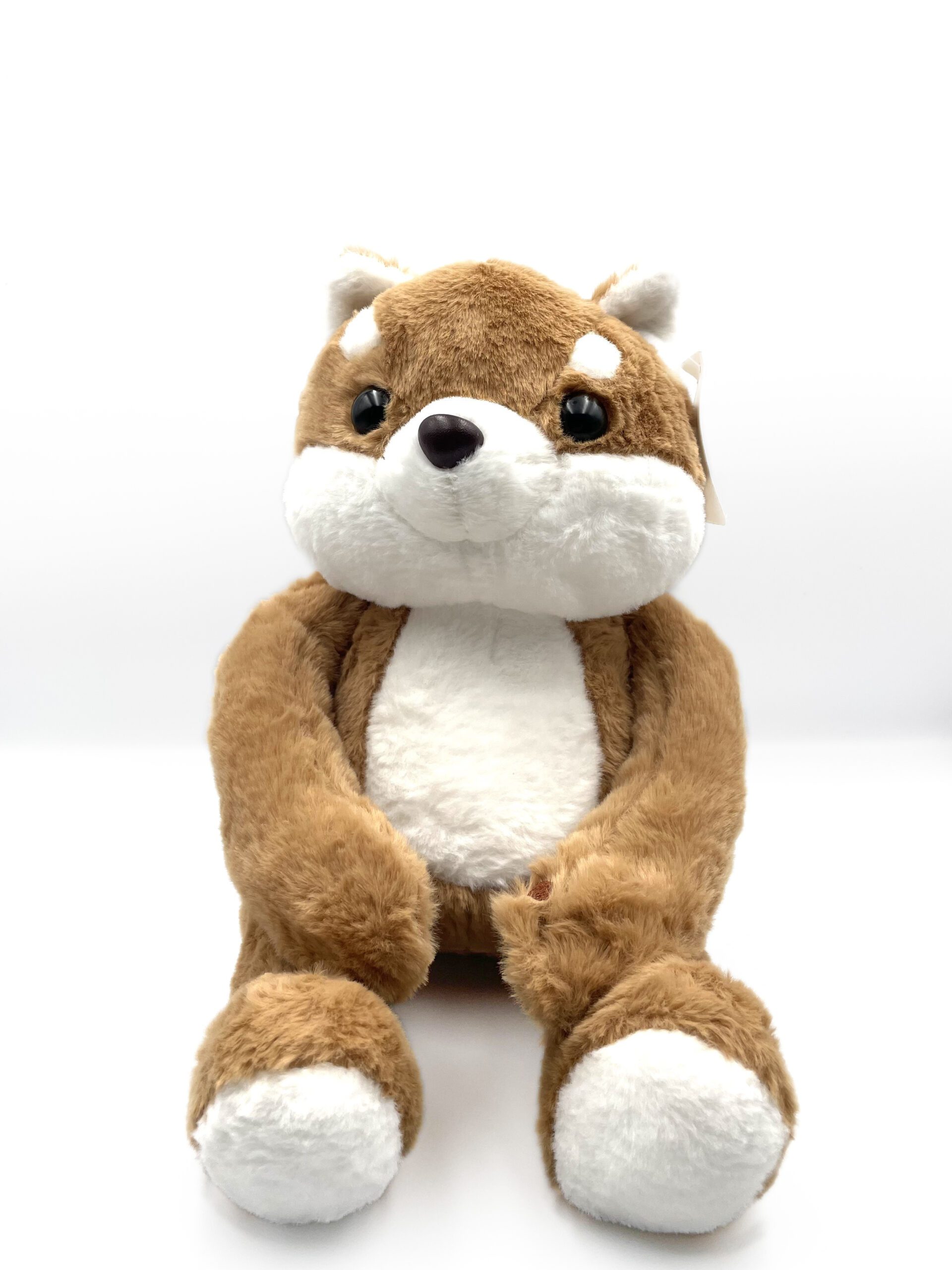 Vulpea Shiba - imagine 5